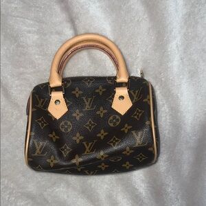 Louis Vuitton Speedy in Brown Monogram